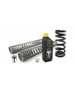 Progressive BLACK-T replacement springs Stage1 for fork and shock absorber fit BMW RnineT Scrambler/UrbanG/S from 2015