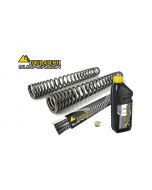 Progressive fork springs for Suzuki V-Strom DL1000 from 2002 to 2003