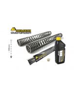 01-040-7438-0 Progressive fork springs for BMW F800GS / Adventure from 2013 50 mm lowering