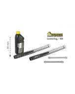 01-420-5837-0 Height lowering kit 30mm for Triumph Tiger 800 XC 2011-2014 *replacement springs and reversing lever*