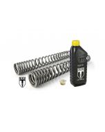 01-423-5867-0 BLACK-T fork springs progressive Stage1 for Triumph Speed Twin from 2019 onwards