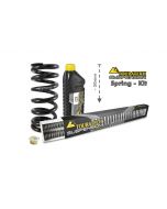 01-048-5832-0 Height lowering kit, 50mm, for BMW F800GS / Adventure from 2013 replacement springs
