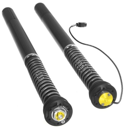 01-058-5890-0 Touratech Suspension Cartridge Plug&Travel para BMW R1250R (2018-)