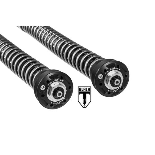 01-621-5870-0 BLACK-T Cartridge Kit Touring para Ducati Scrambler Desert Sled (2017-)