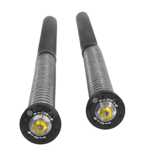 01-083-5862-0 Touratech Suspension Cartridge Kit Extreme para BMW F900GS Adventure