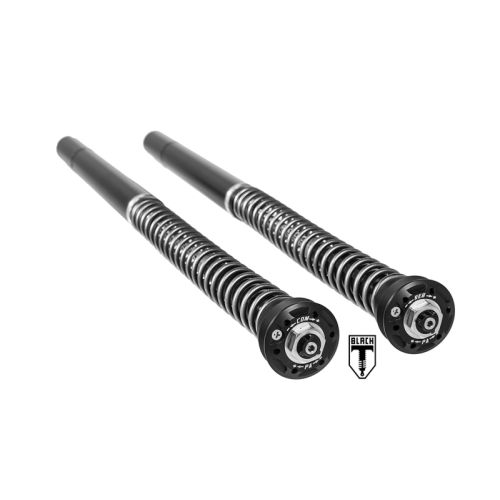 01-042-5840-0 BLACK-T Cartridge Kit Stage4 for BMW RnineT (2014-2020)