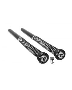 BLACK-T Cartridge Kit Stage4 for BMW RnineT from 2014 onwards