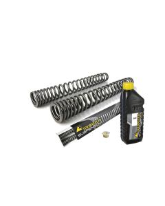 01-370-5843-0 Progressive fork springs for GASGAS ES 700 Enduro (2022-2024)
