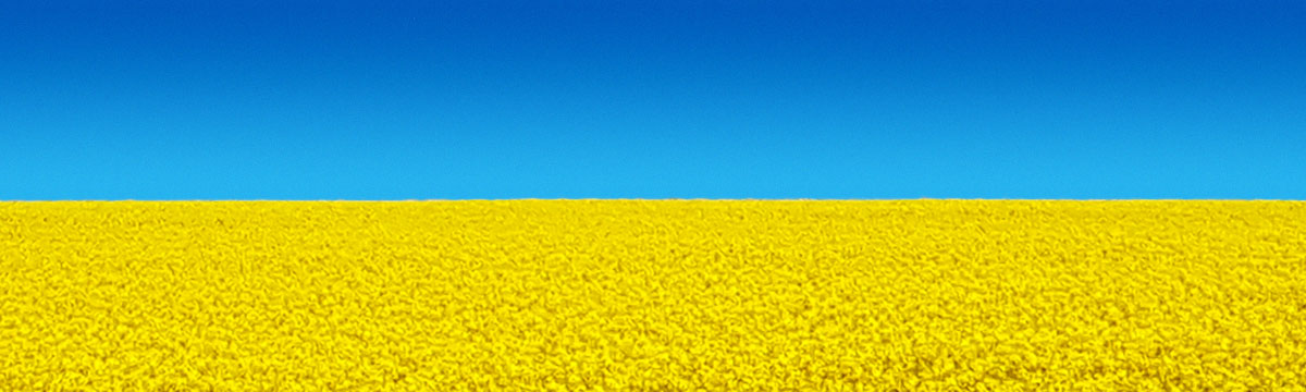 #StandWithUkraine