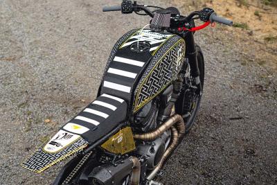 TECHNOLOGY | HARLEY-CONVERSION PAN X – Roots Rocker