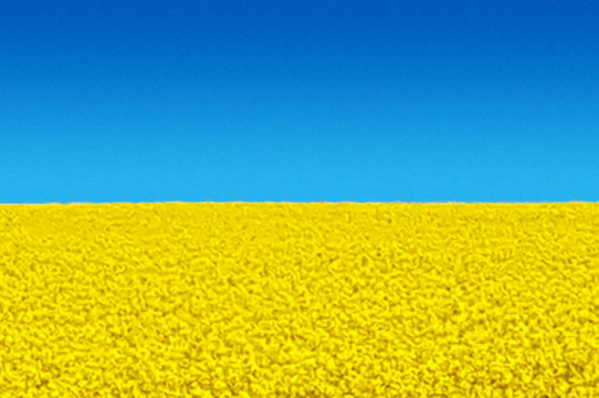 #StandWithUkraine