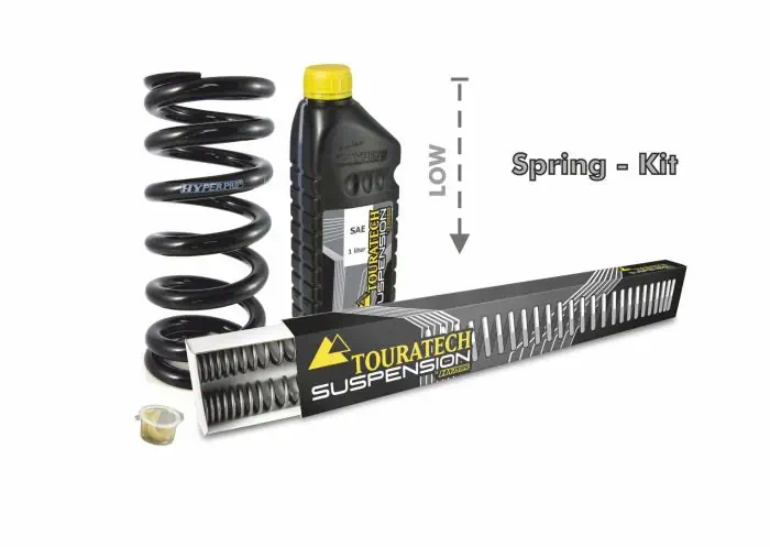Ninja 1000 lowering kit top